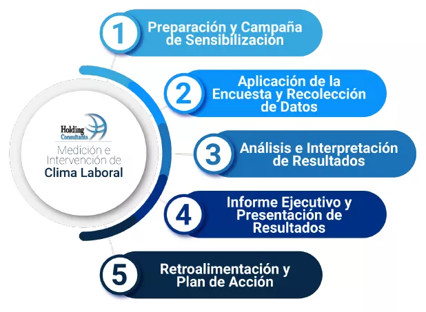 Pasos Medición e Intervención de Clima Laboral