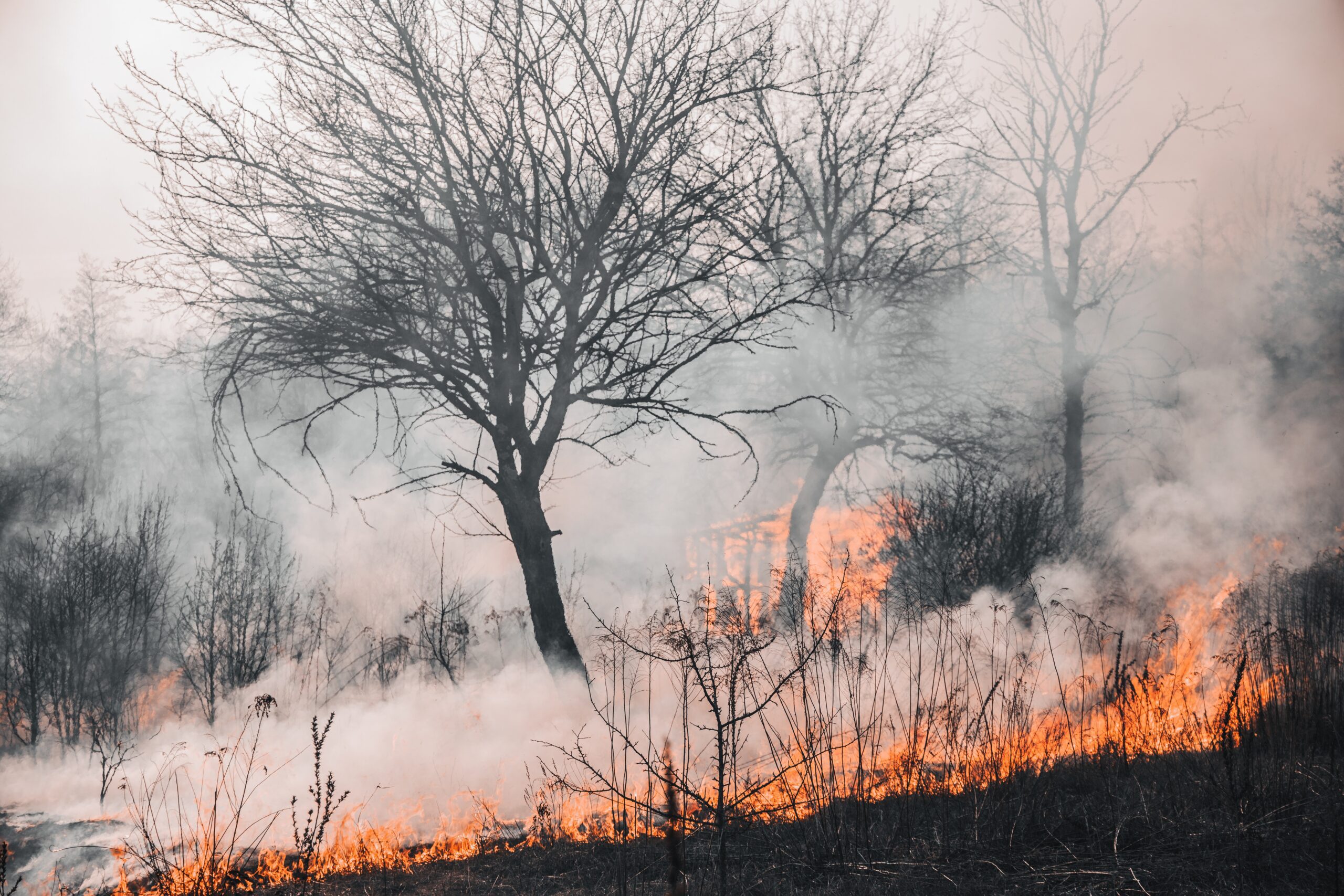 Incendio Forestales