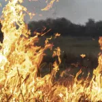 Supervivencia y Salud en Incendios Forestales