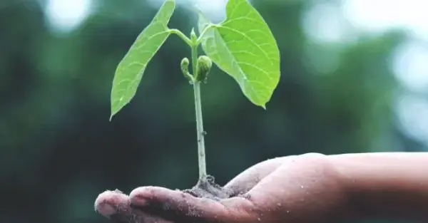 Cambio-climatico-900x313